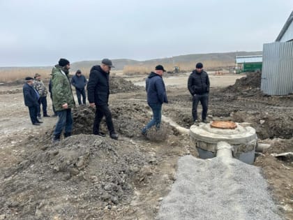 В Дагестане впервые начнут выращивать корма для скота с помощью гидропоники