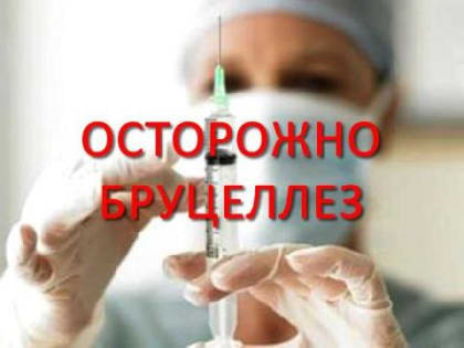 Осторожно: бруцеллез!