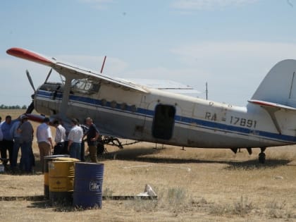 Более 18 тысяч гектаров обработали в Дагестане против саранчовых вредителей