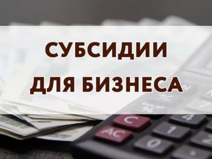 Субсидии для бизнеса 2022: как получить государственную поддержку