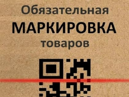 Новые инициативы по улучшению городской инфраструктуры