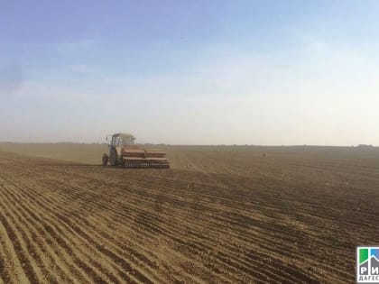 Более 9 тысяч гектаров земли засеют озимыми зерновыми культурами в Ногайском районе