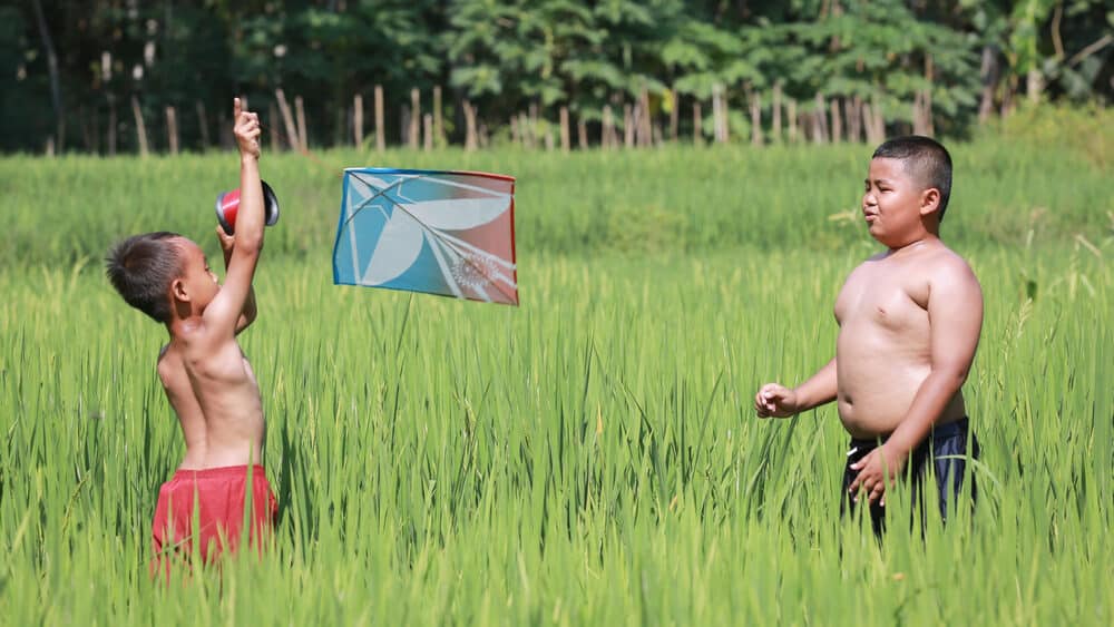 Shutterstock/untungsubagyo