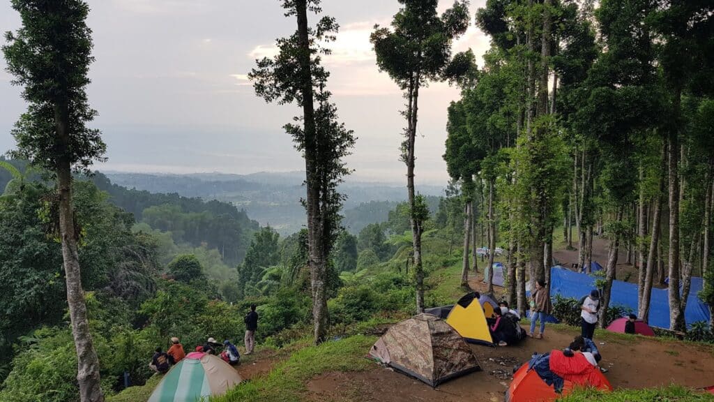 Sumber gambar: Bogor Daily