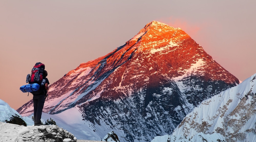 Shutterstock/Daniel Prudek