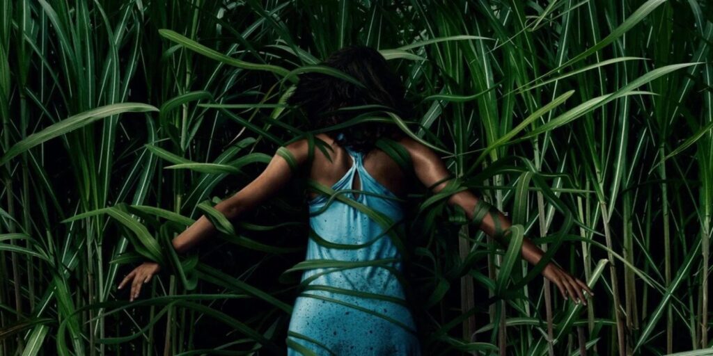 Image from Cultura Magazine