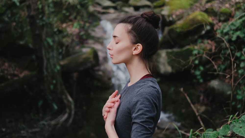 Shutterstock/Yolya Ilyasova