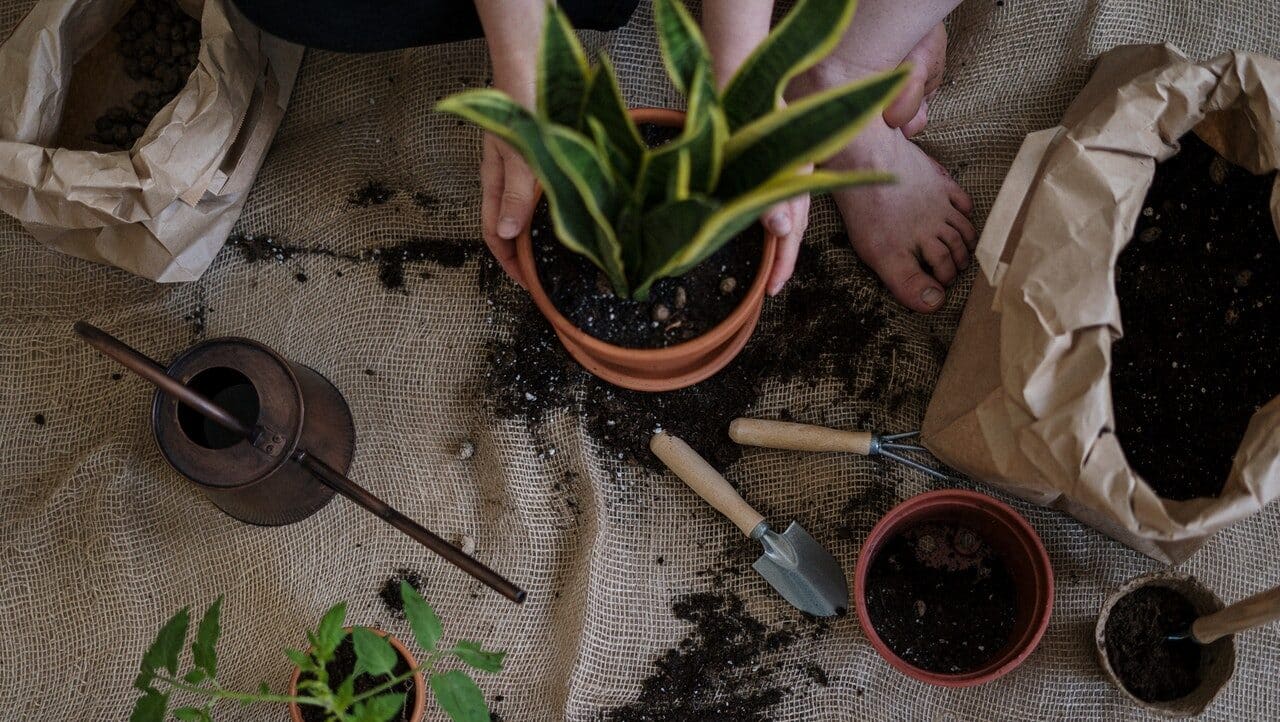 Source: Pexels