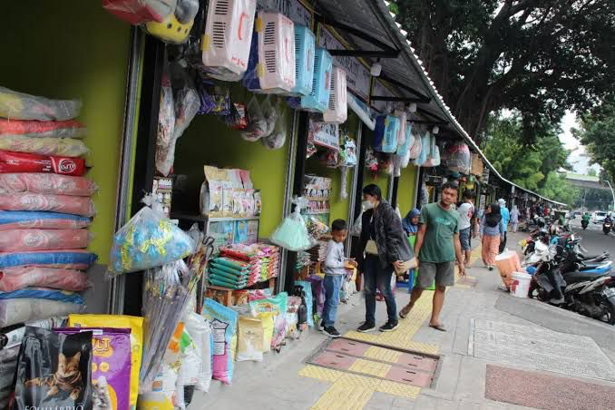Pasar Hewan Peliharaan Barito Jaksel/Foto: Jawa Pos