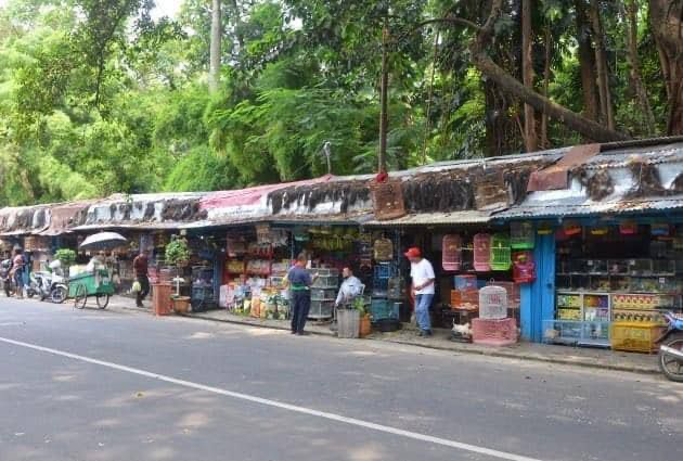 Suasana Pasar Hewan Barito/Foto: Alinear Indonesia