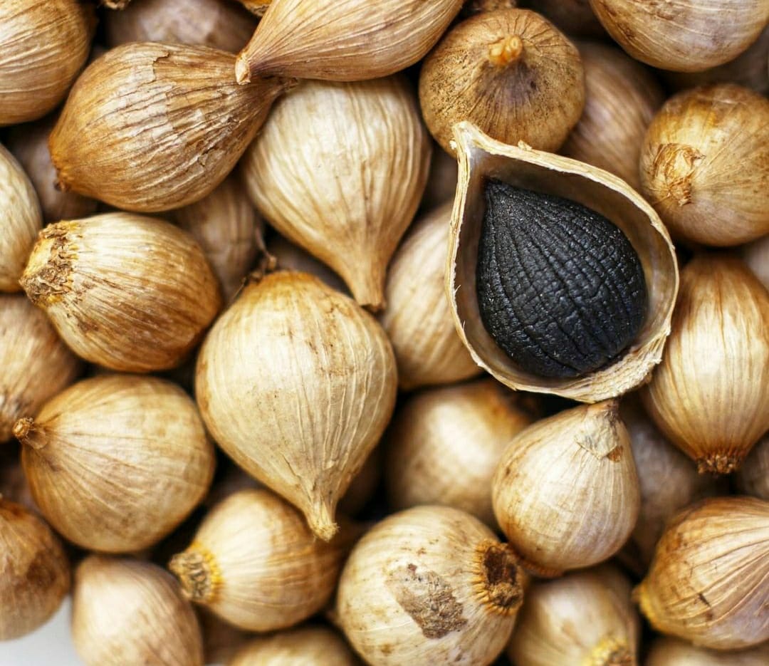 Bisa Cegah Kanker! Ini Segudang Manfaat Bawang Hitam Tunggal untuk Kesehatan/Foto: Freepik