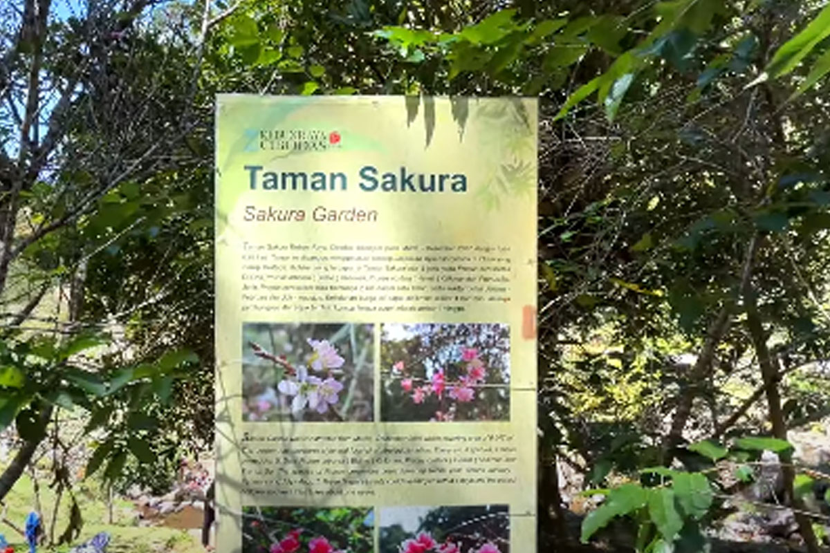 Kebun Raya Cibodas Cianjur