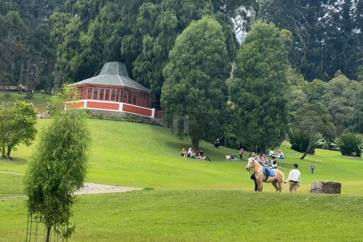 Tempat wisata libur tahun baru di Cianjur yang salah satunya Kebun Raya Cibodas.