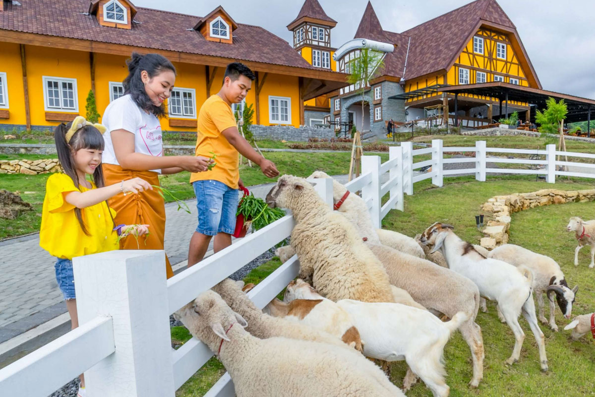 Rekomendasi wisata Boyolali terbaru untuk berlibur bersama anak salah satuyna Cepogo Cheese Park. (Dairyland)