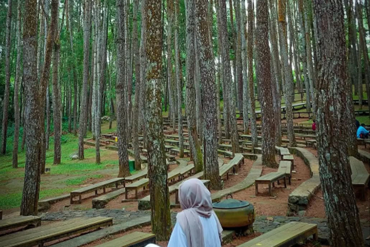 Ada berbagai aktivitas seru di Hutan Pinus Mangunan. (Instagram @wulan_eswe)