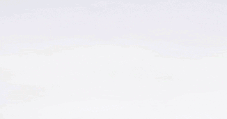 Oyster kits animation