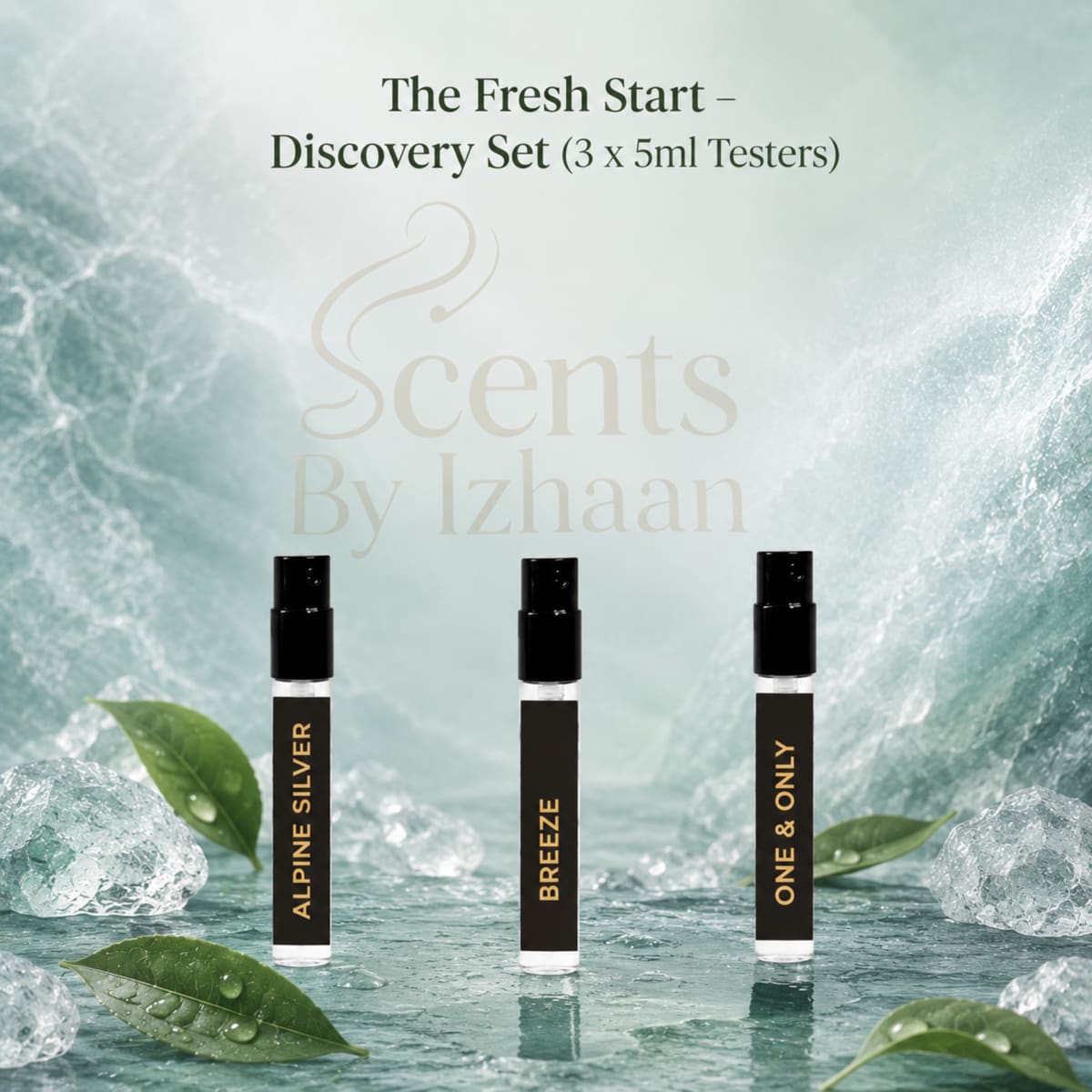 The Fresh Start – Discovery Set