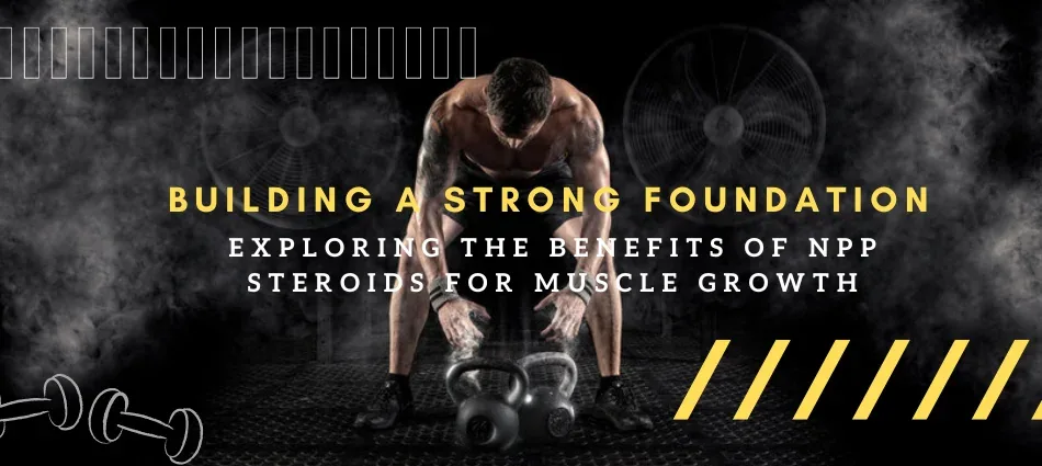 Building a Strong Foundation Exploring the Benefits of NPP Steroids for Muscle Growth