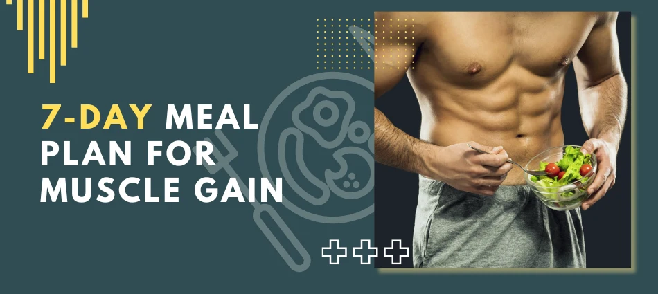 7-Day Meal Plan for Muscle Gain - UK Steroids Store