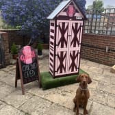 Sticky Whisks Bakes cake shed
