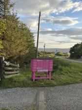Holly’s Baking Box cake shed