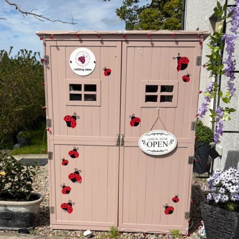 Ladybug cakes cake shed cake shed