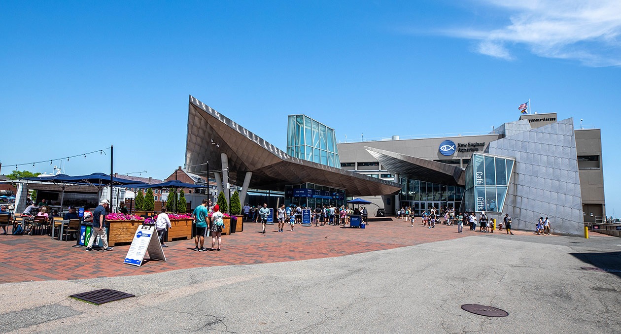 New England Aquarium