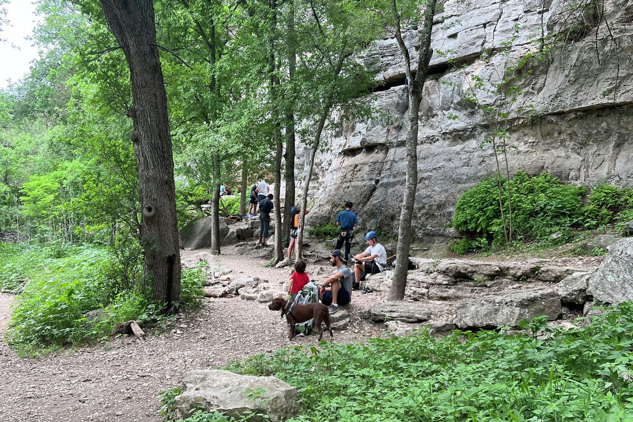 Hike the Barton Creek Greenbelt