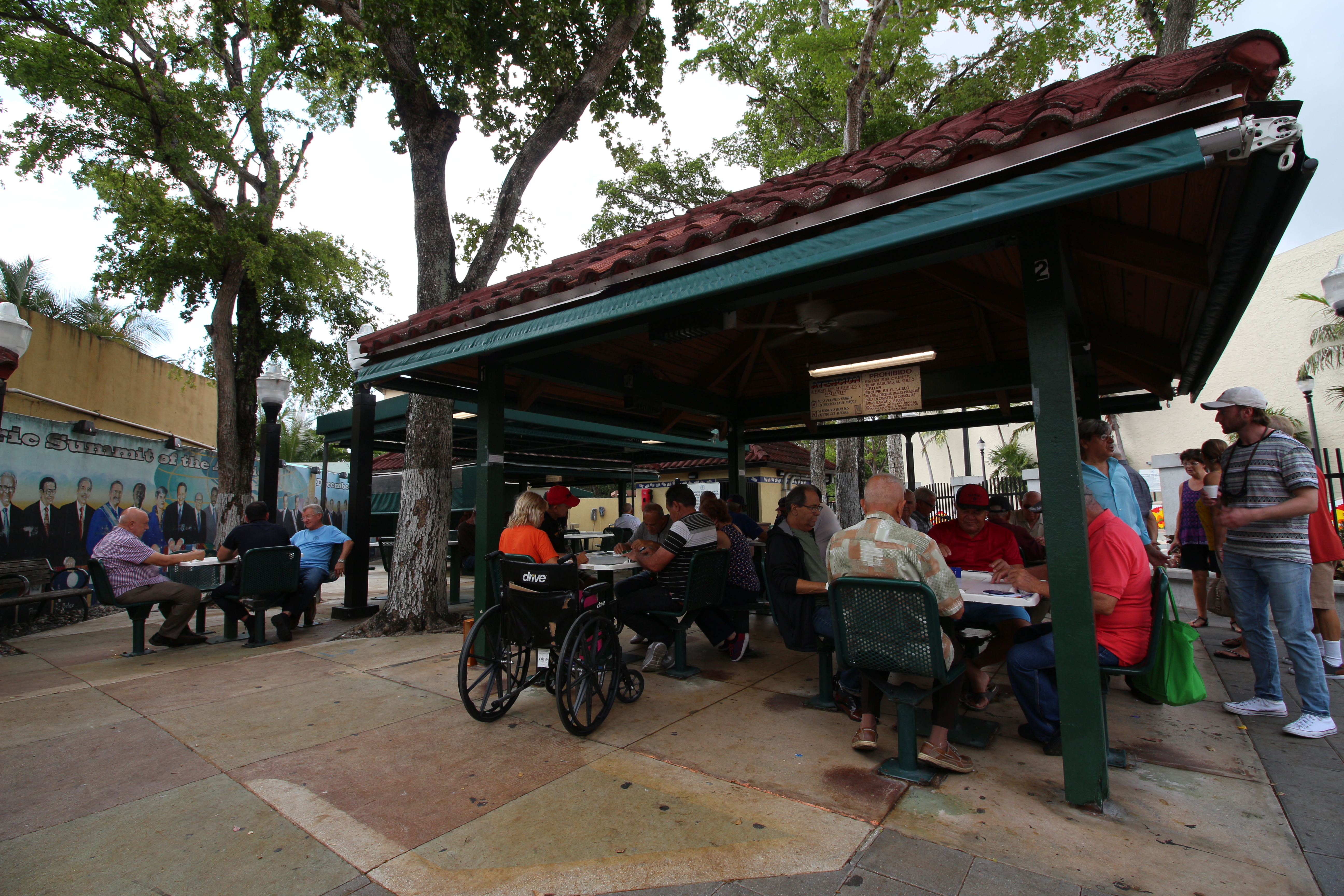 Little Havana Domino Social