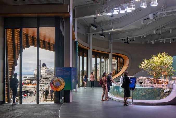 Seattle Aquarium: Dive Into the Pacific Northwest