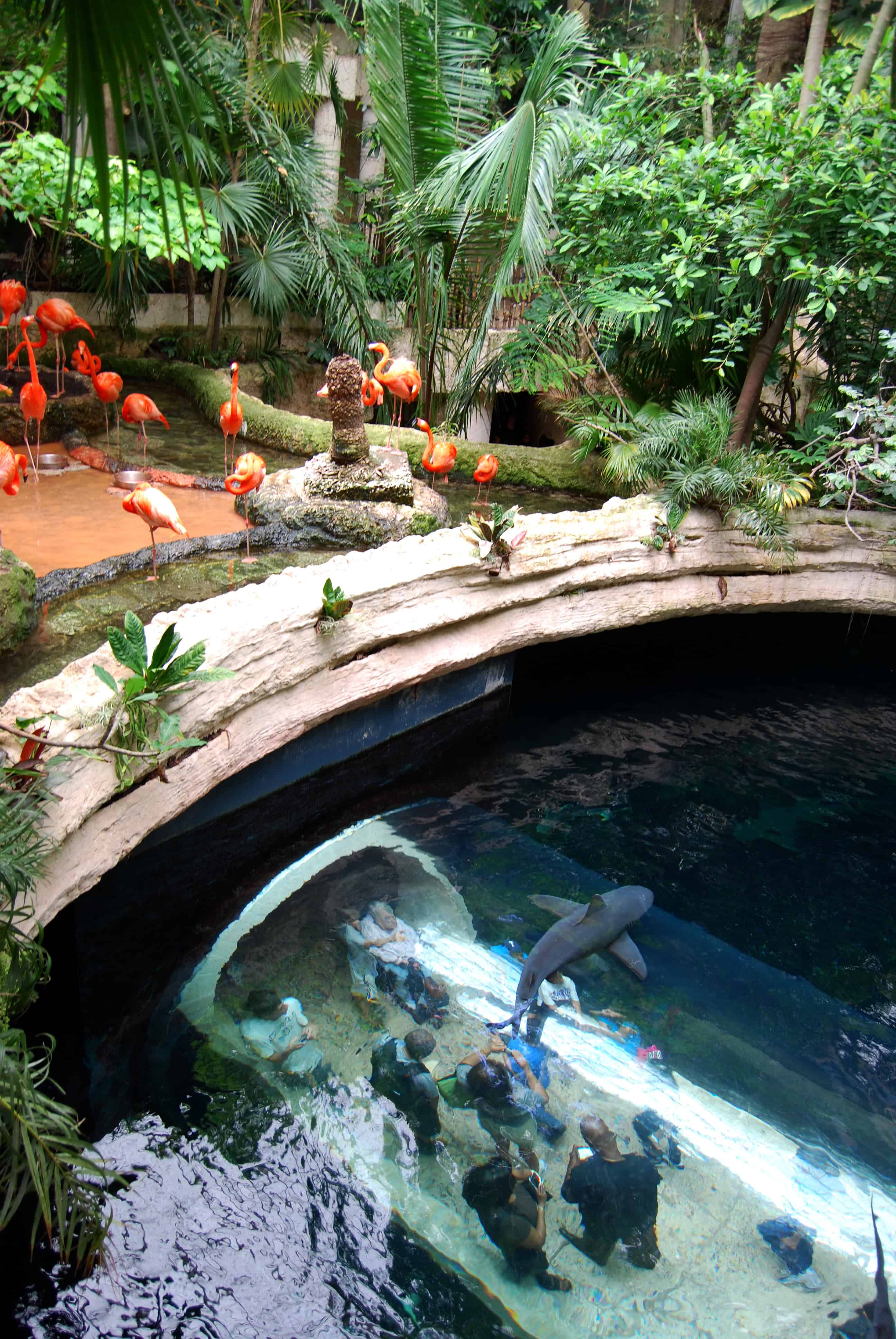 Dallas World Aquarium