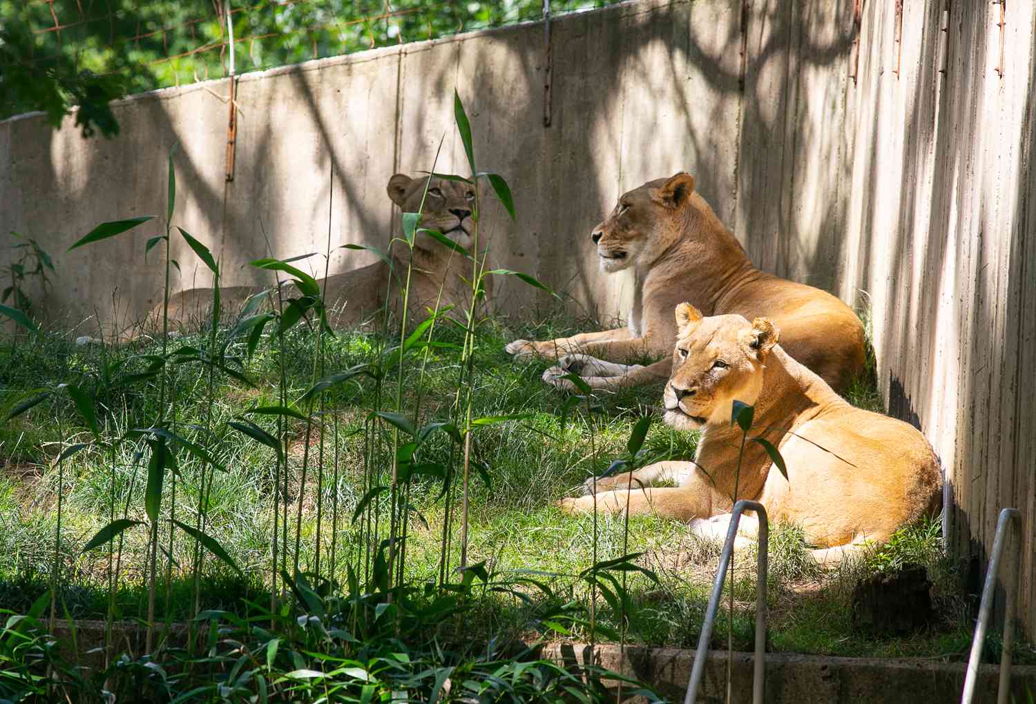 Smithsonian National Zoo
