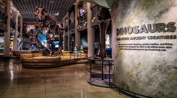 Academy of Natural Sciences