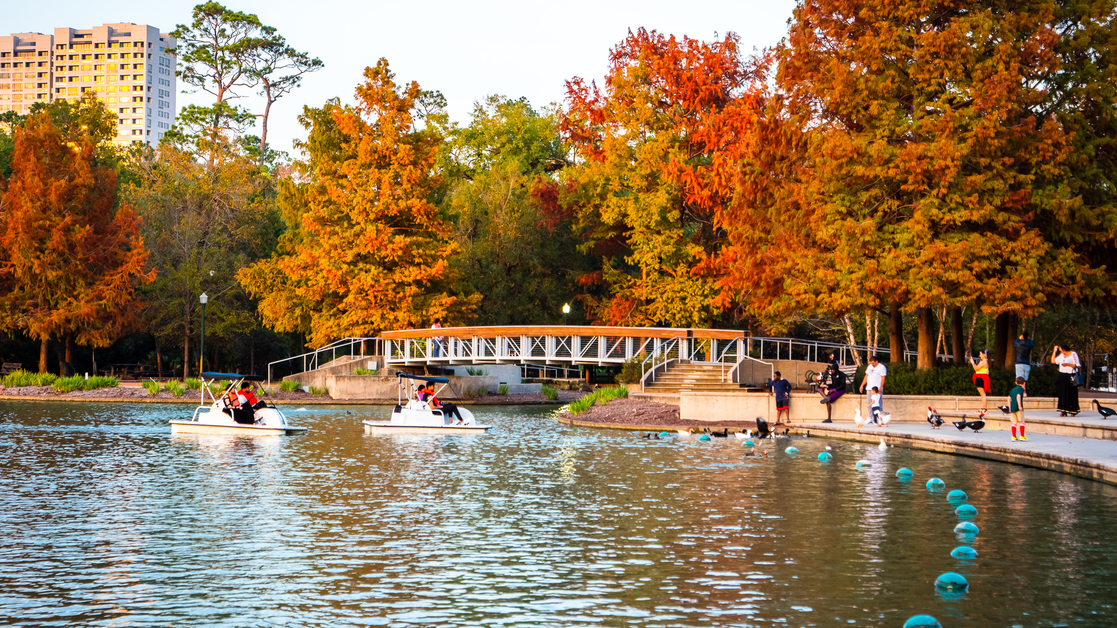 Hermann Park