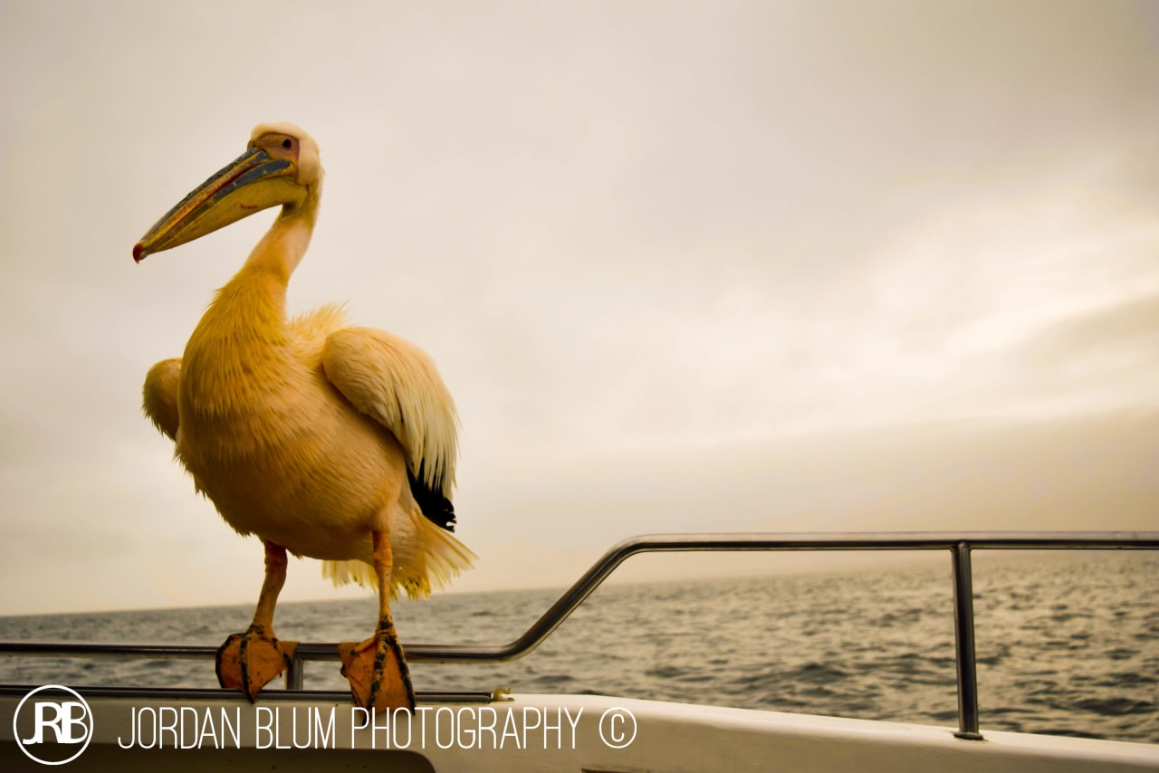 Photograph by Jordan Blum