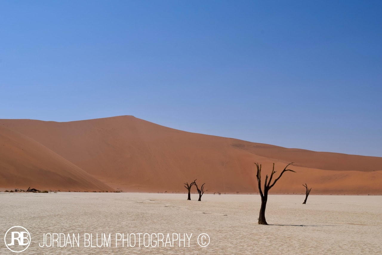 Photograph by Jordan Blum