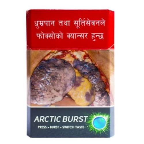surya artic
