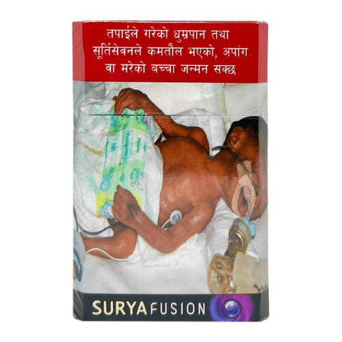 surya fusion