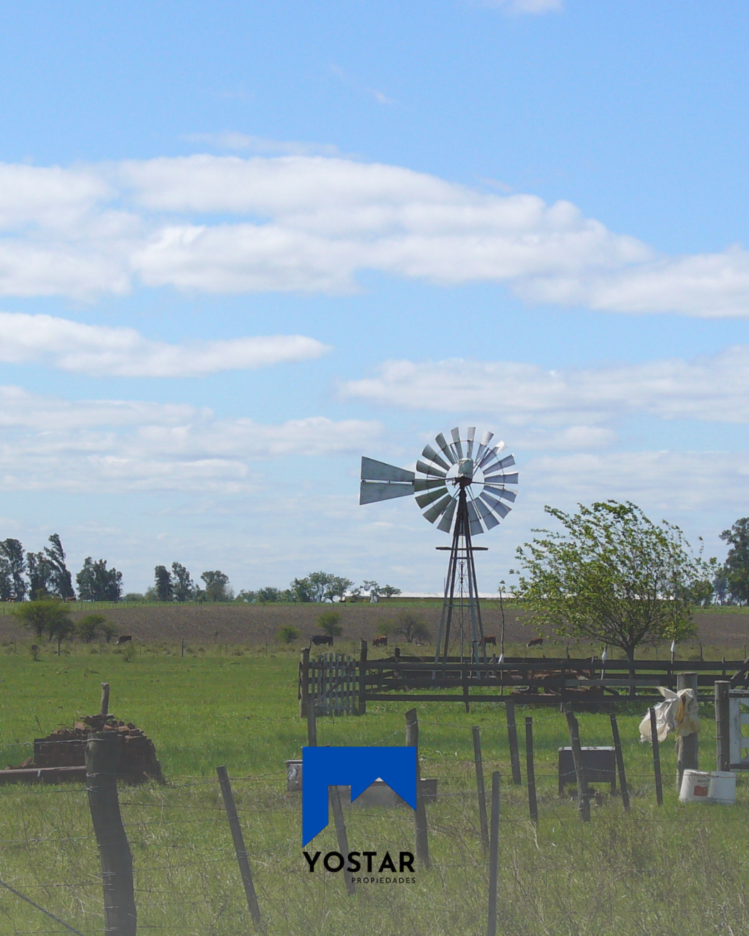 Campo en venta