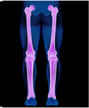 femur-then-tibia