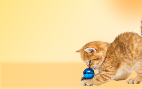 Offer: UP TO 10% OFF - Pet Food