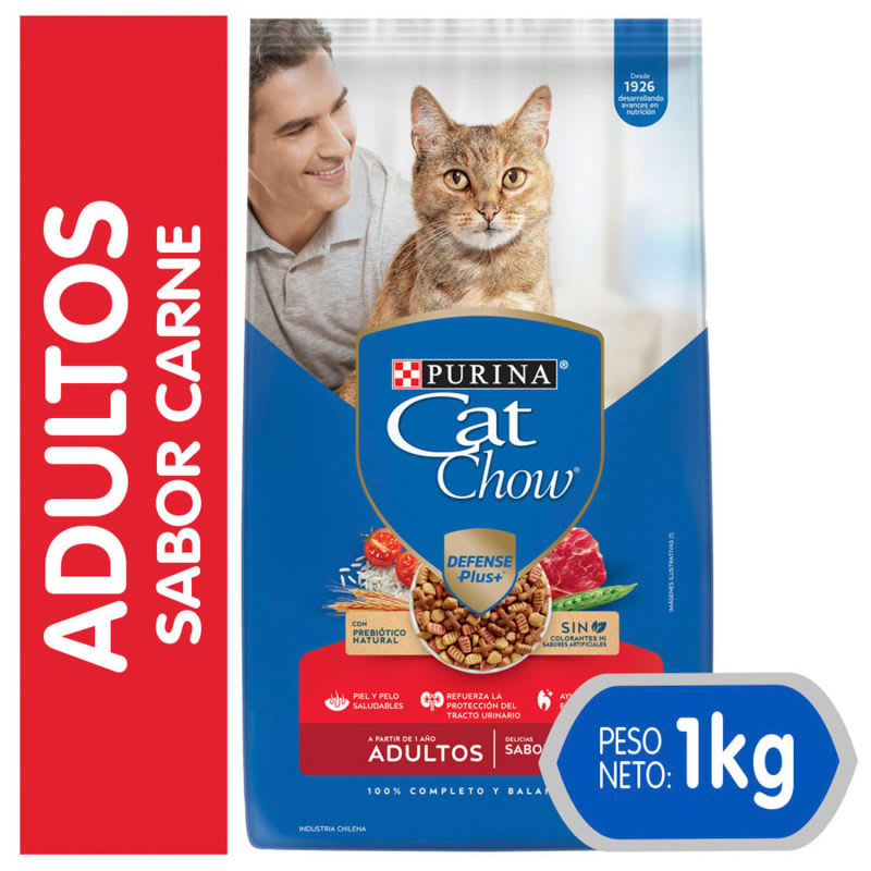 CAT CHOW CARNE 1KG