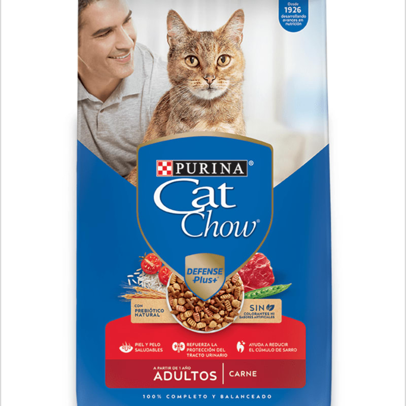CAT CHOW CARNE 3K