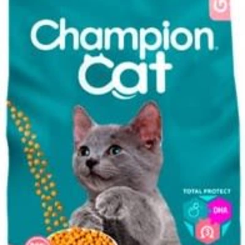 CHAMPION CAT GATITOS 20K