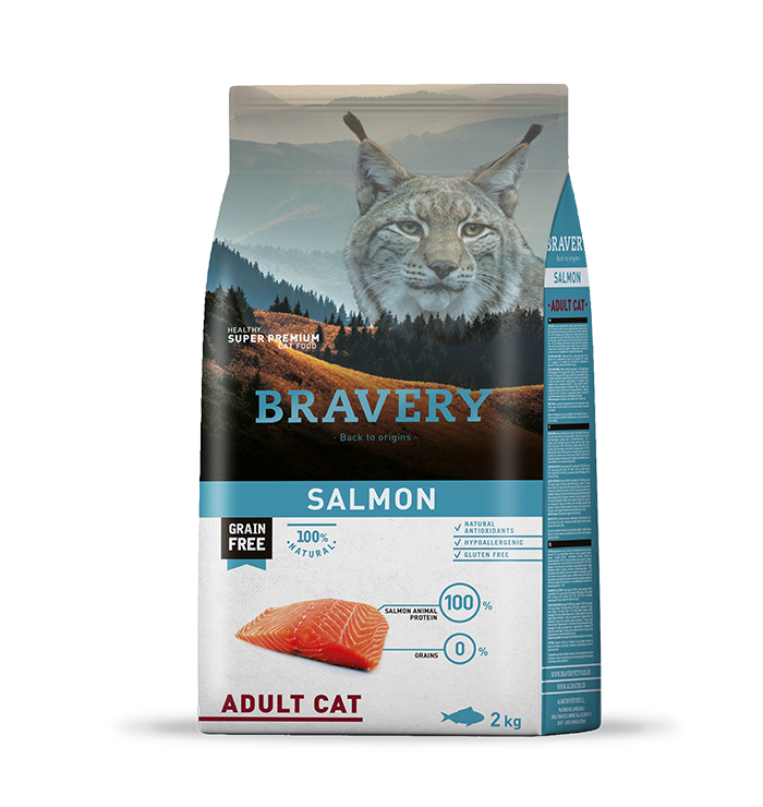 BRAVERY SALMON ADULTO GATO 2KG