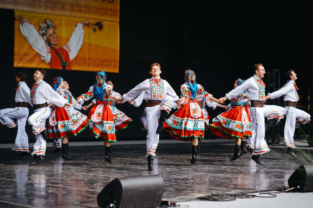 ZDC performance - Dubotanetz