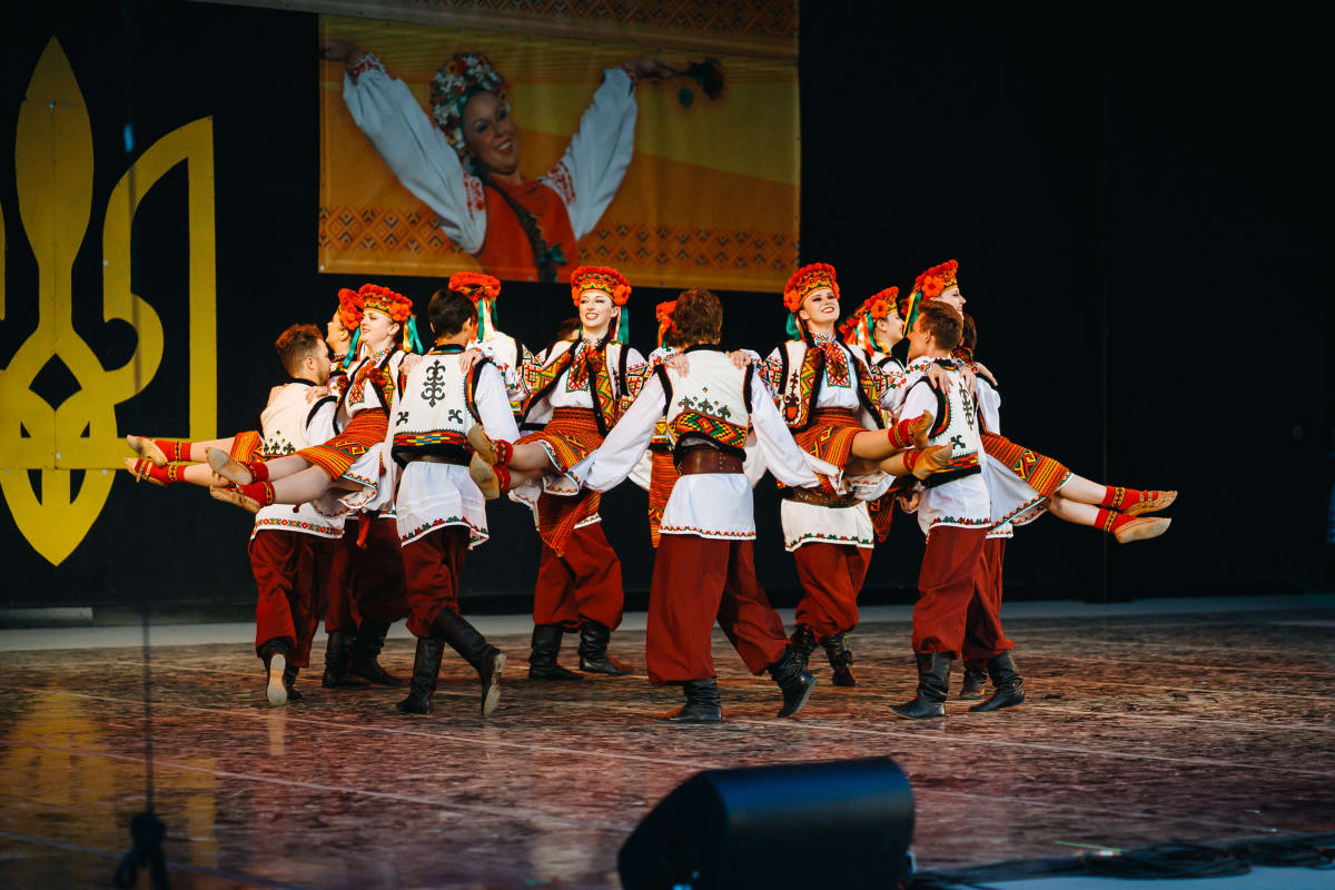 ZDC performance - Hutsulka