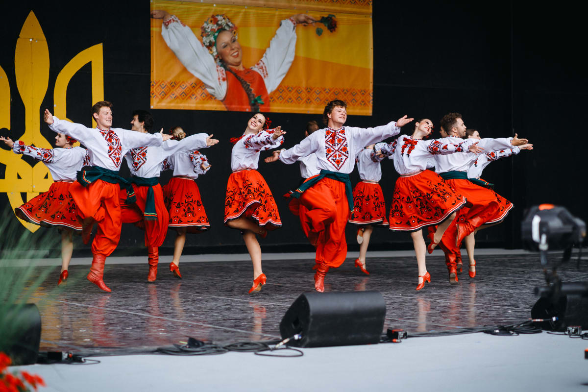 ZDC performance - Sanzharivka