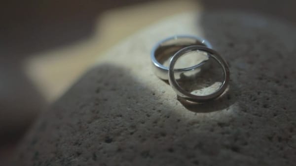 Close-up of wedding rings