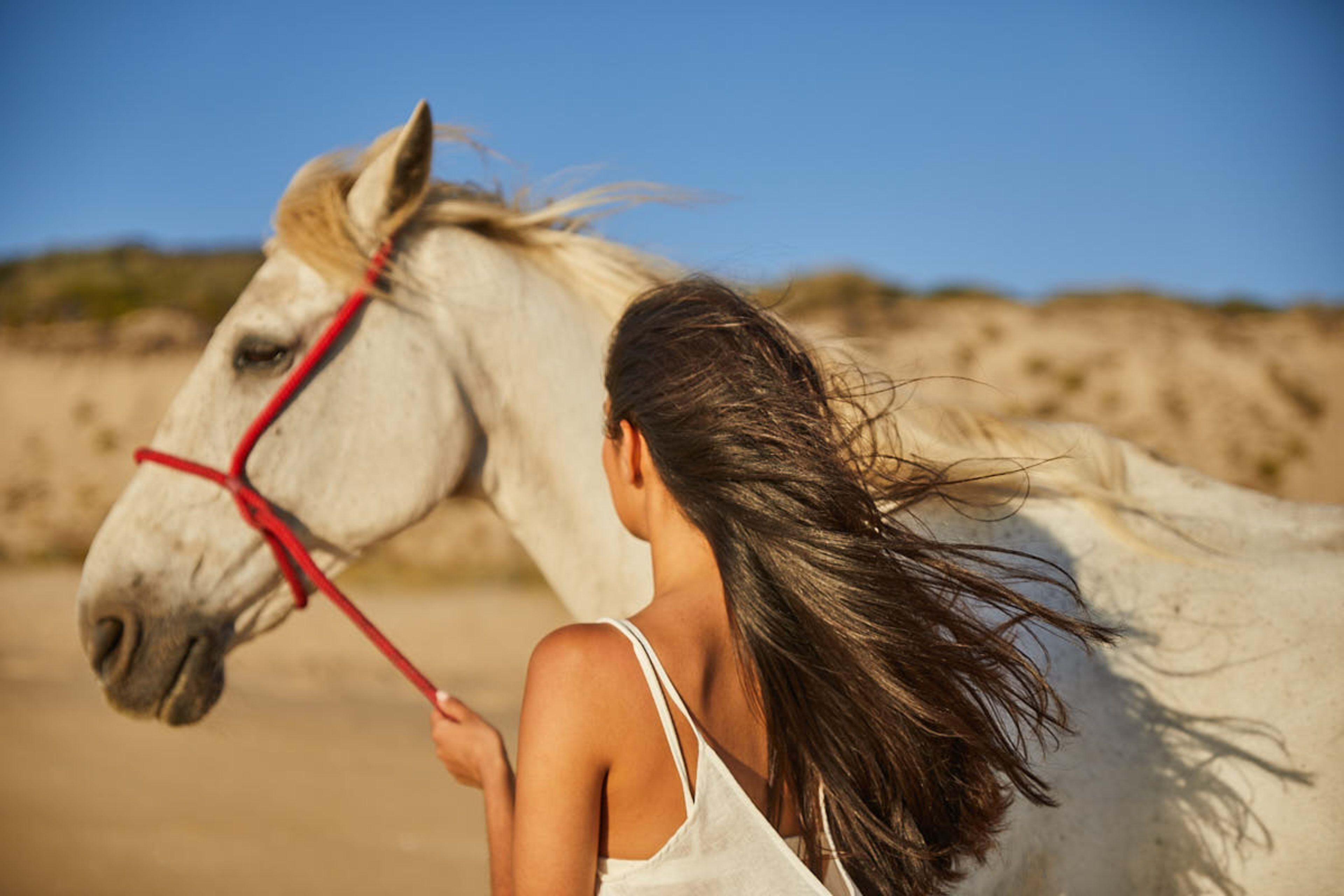 Horse and rider on the dunes at Melides